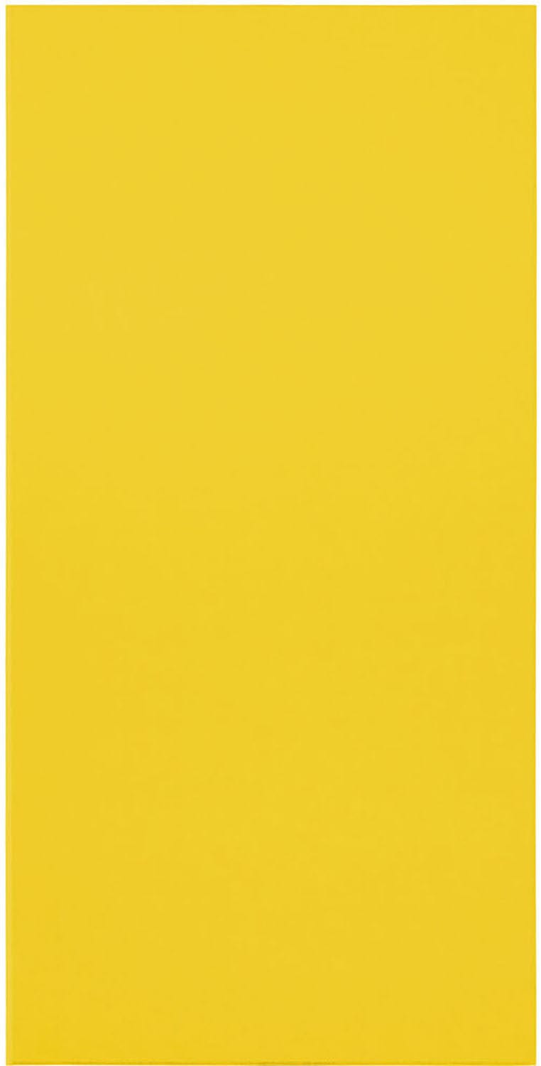 Primacoustic E121-2448-27 EcoScapes Beveled 24 x 48 x 1 Inch Panel - Citrus - 10 Pack - PSSL ProSound and Stage Lighting