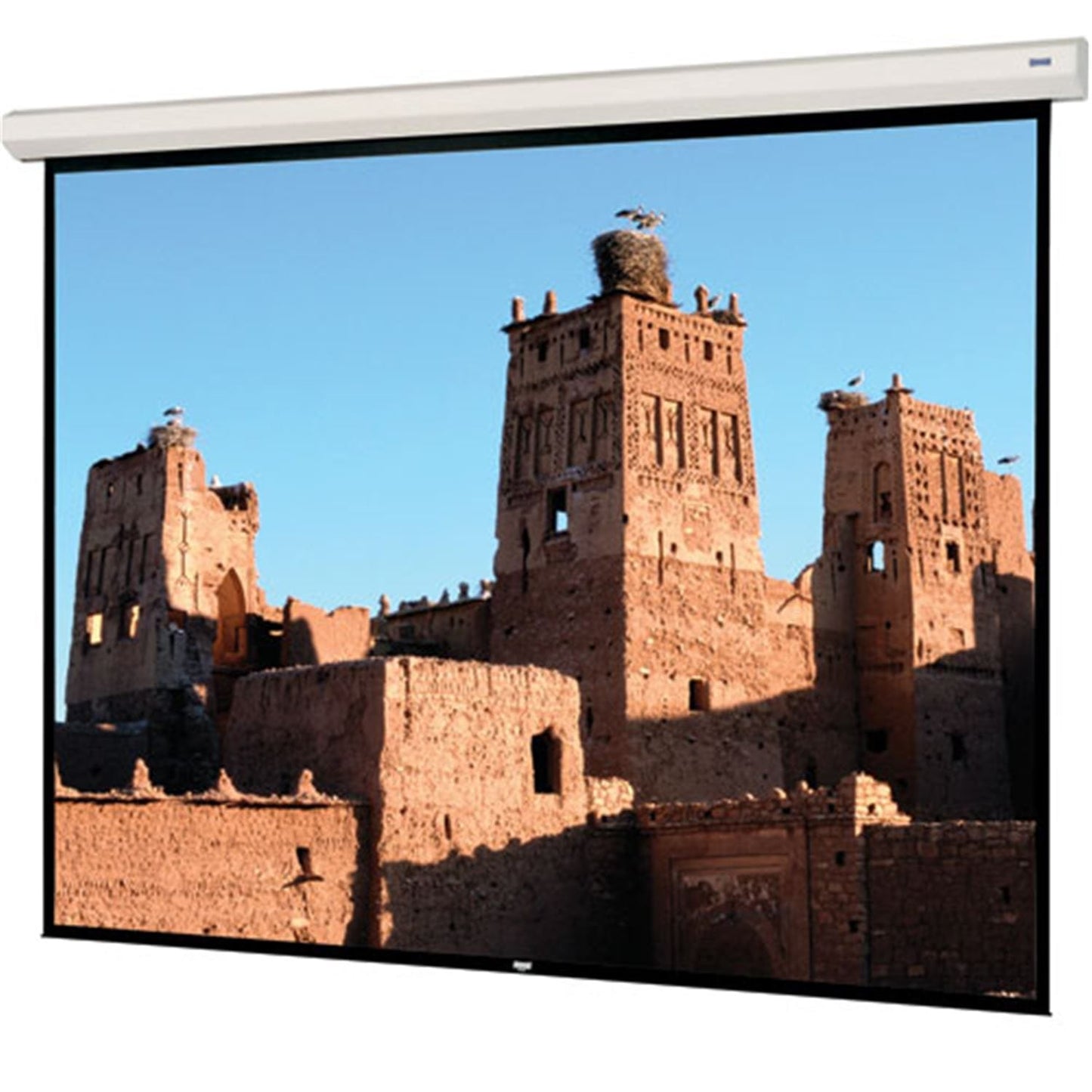 Dalite Cosmopolitan 12' X 12' Projection Screen- - Solotech