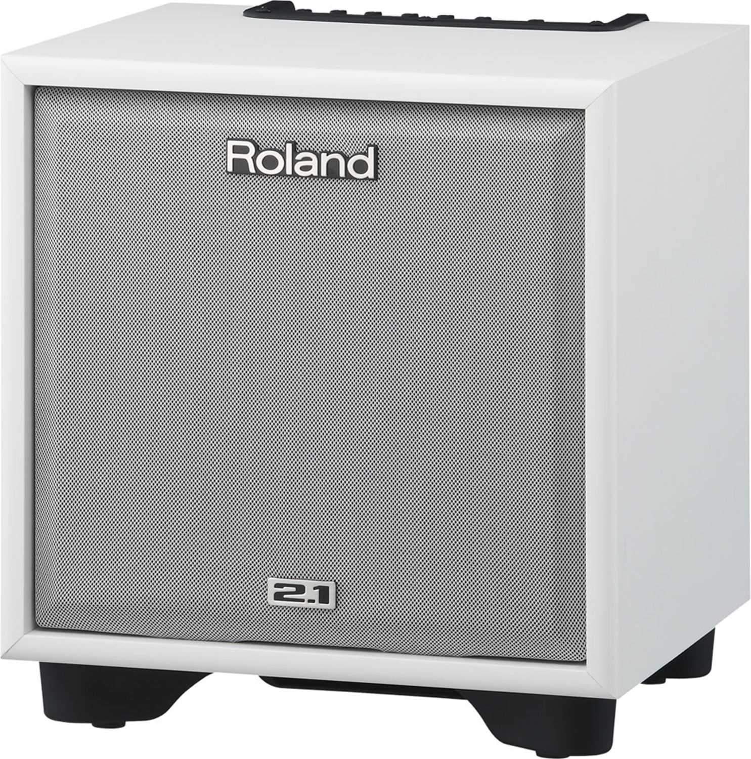 Roland CM-110-WH 100W 2.1 Monitor System (White)