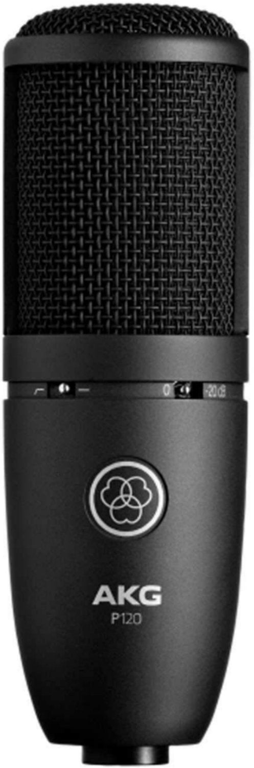 AKG Project Studio P120 Large Condenser Microphone