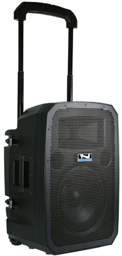 Anchor Audio 771470 Liberty 3 Link System - AnchorLink 3 / 4x Collar Wireless Microphones - PSSL ProSound and Stage Lighting