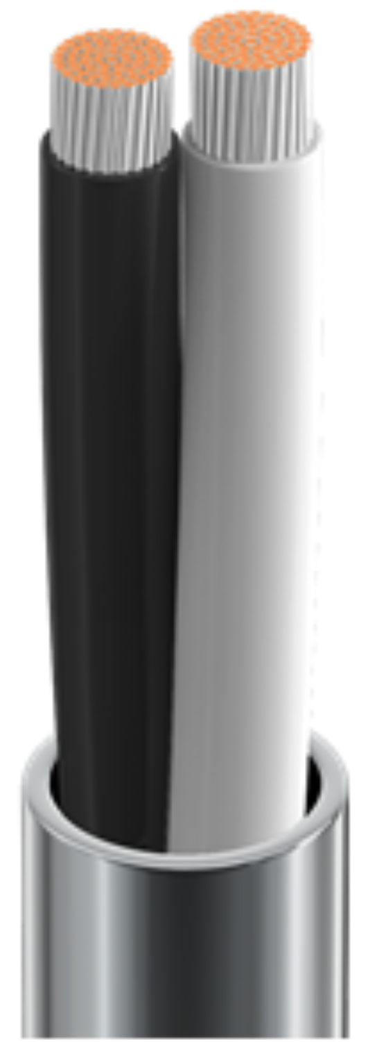 Belden Electronic, 2 C #12 Str TC, PVC Ins, PVC Jkt, CL3R