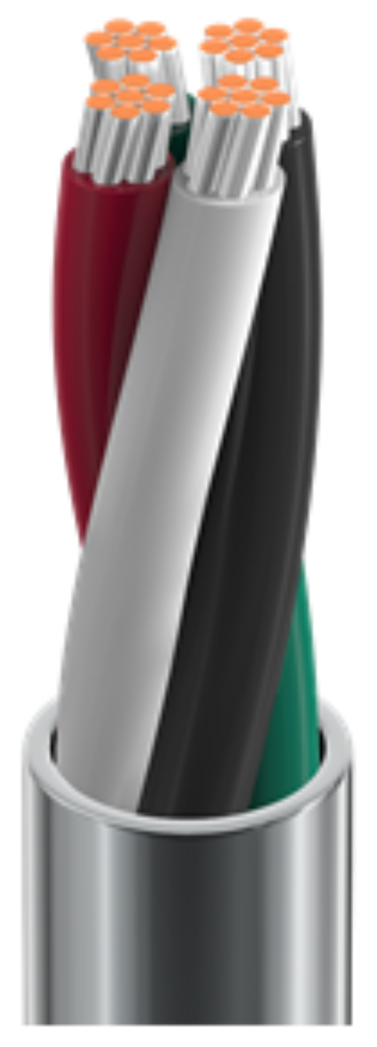 Belden Electronic, 4 C #20 Str TC, PVC Ins, PVC Jkt, CMG