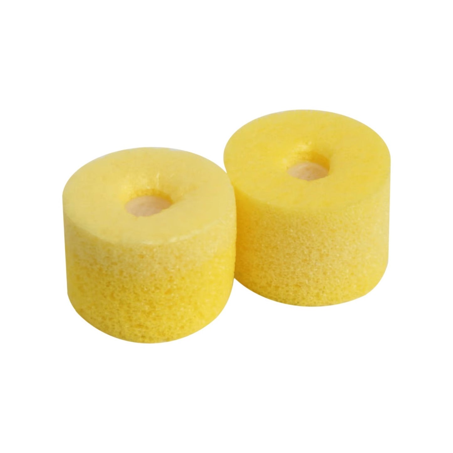 Embouts en mousse SHURE (10)