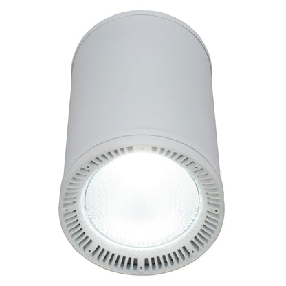 Elation Fuze Pendant WH Fuze Pendant WH; 230W RGBWL LED Pendant
