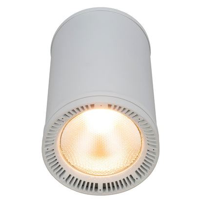 Elation Fuze Pendant WH Fuze Pendant WH; 230W RGBWL LED Pendant