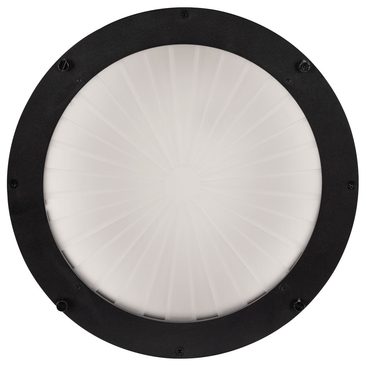 Elation FUZE Wash 500 Radial Frost