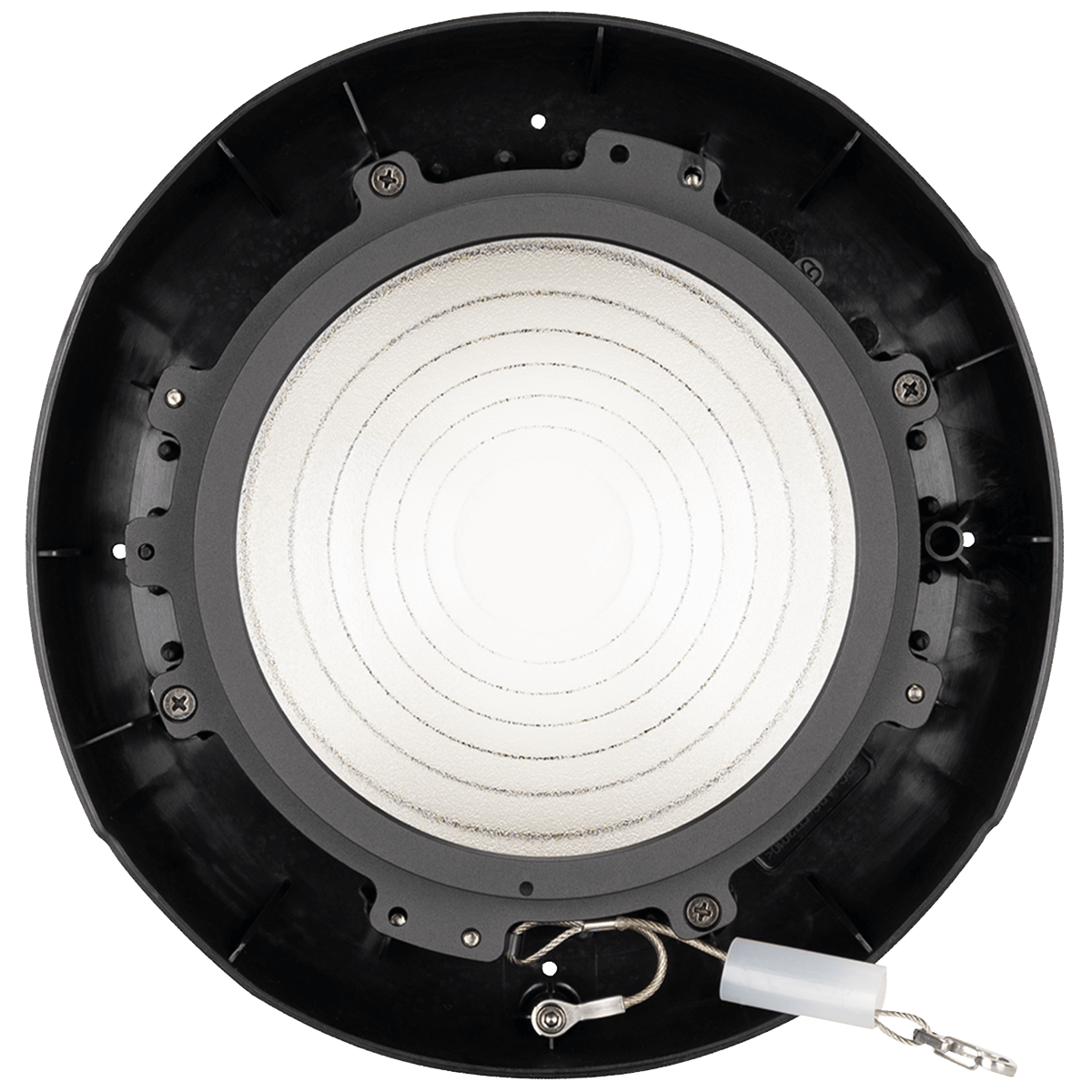 Elation PARAGON M Fresnel Lens