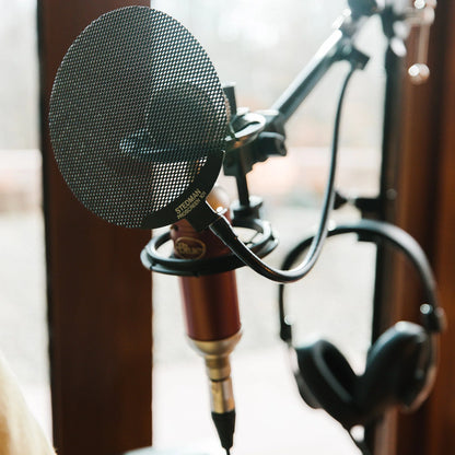 Stedman Proscreen PS101 Metal Pop Filter