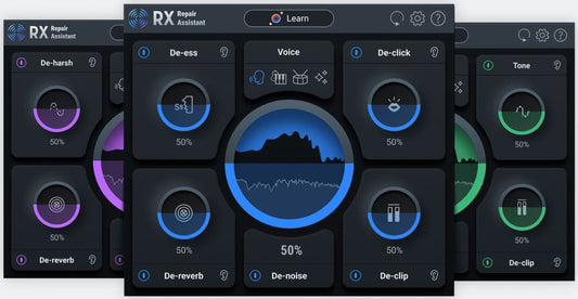 iZotope RX Elements Audio Basics for Small Home Studios- Version 10 - PSSL ProSound and Stage Lighting