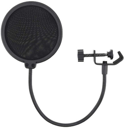 Neumann U-87AI K 67 Capsule Multi-Pattern Microphone with Pop Filter in Woodbox - Silver - PSSL ProSound and Stage Lighting