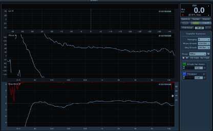 Audio Analysts 112-SLP Stage Monitor Loudspeaker