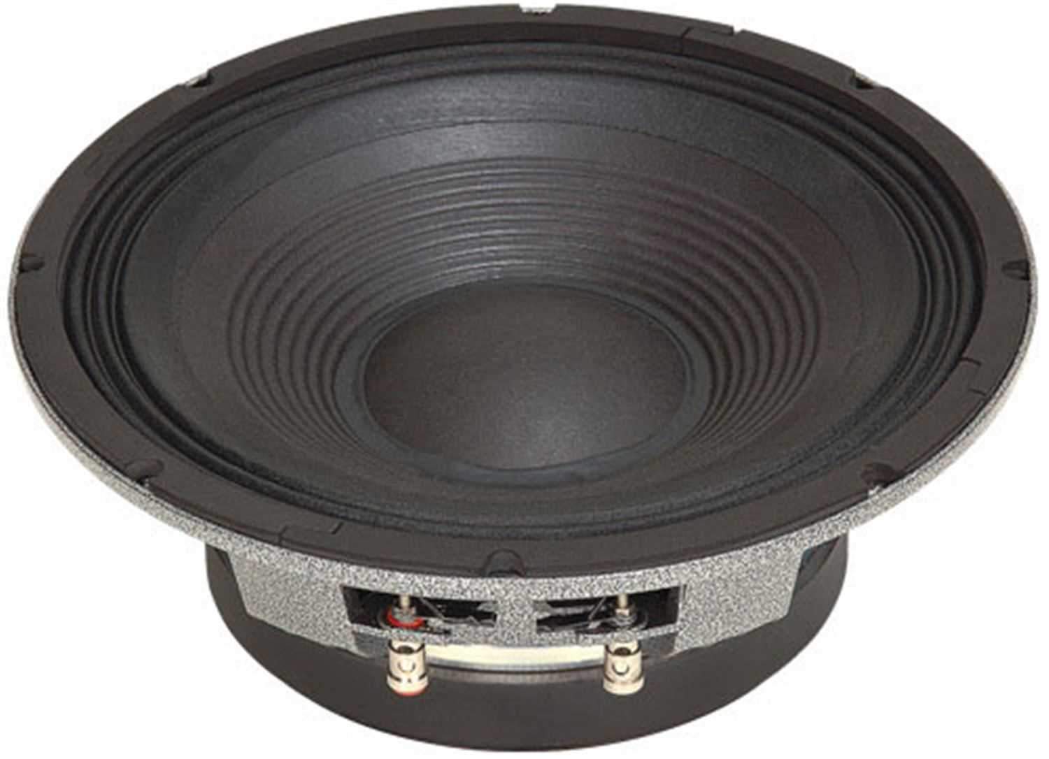 Selenium 12WS600 12In Rawframe Woofer - Solotech