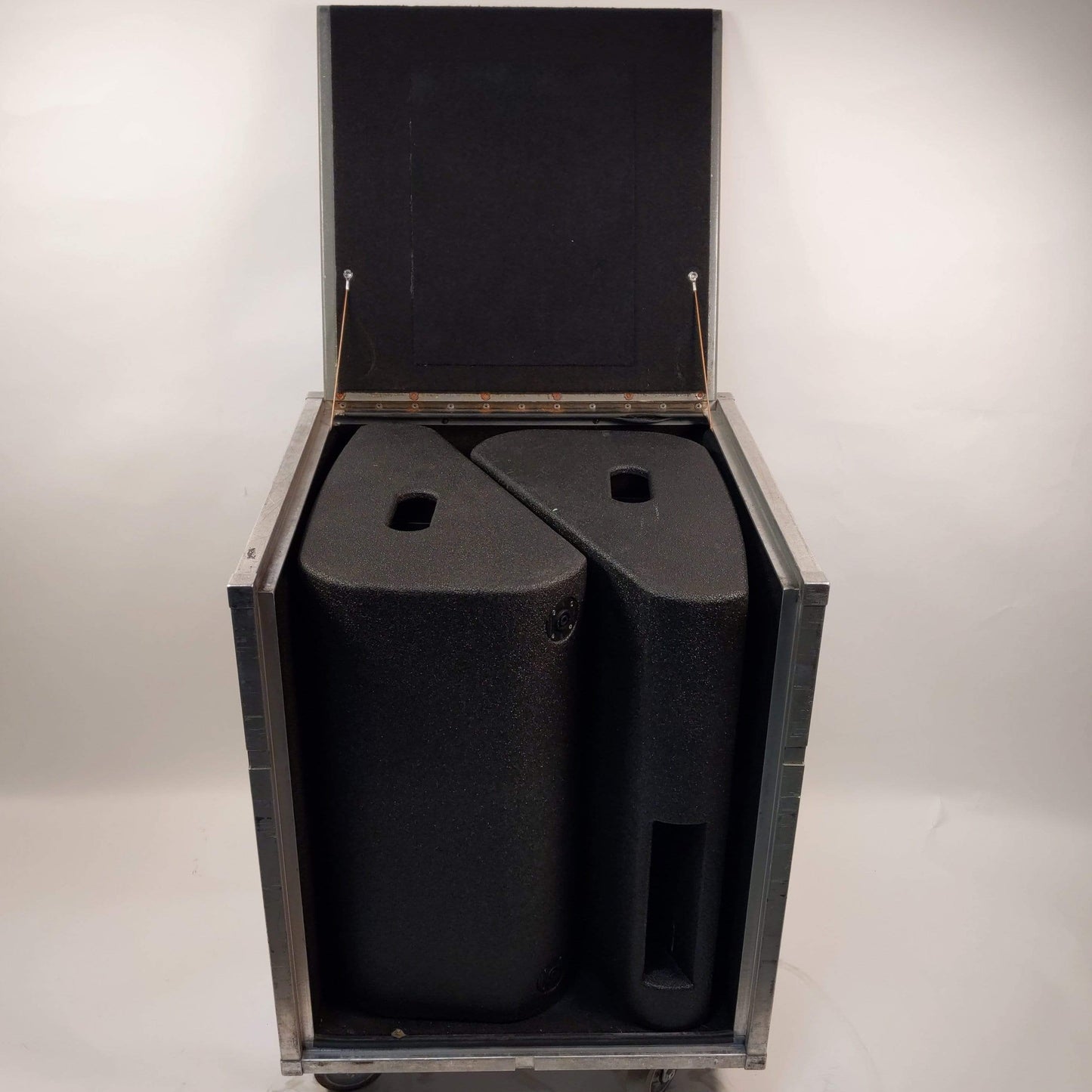 Audio Analysts 12 SLP Wedge Speaker Pair with Case - Solotech