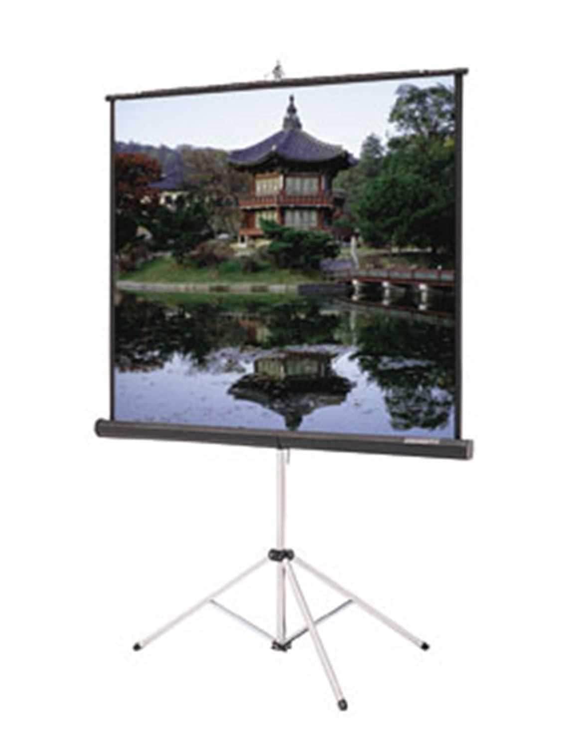 Dalite 72 Glass Beaded Tripod Video Screen - Solotech