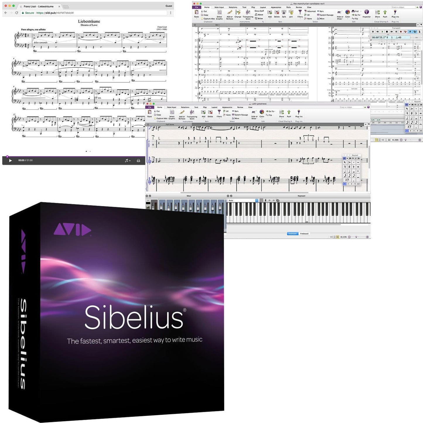 Avid Sibelius Professional Composition Software - Solotech