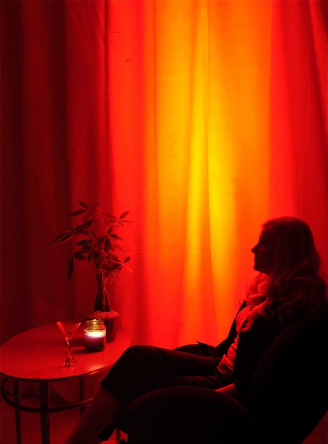 Chauvet Color Dash Batten DMX LED Bank - Solotech