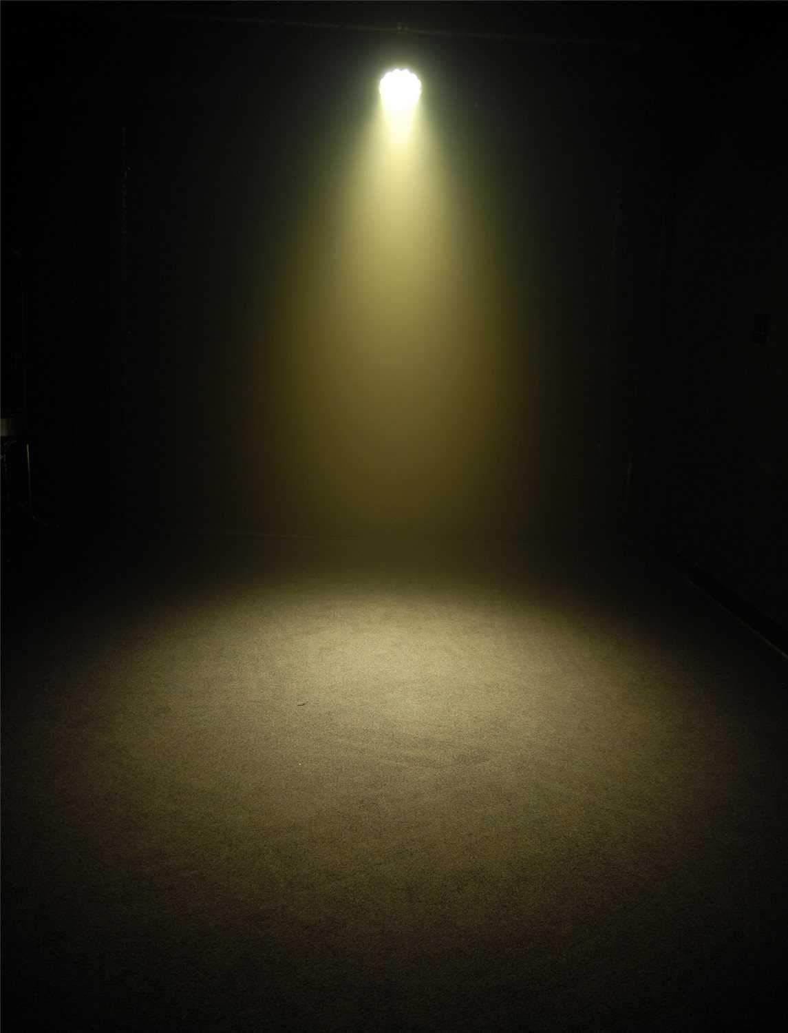 Chauvet COLORdash Par Tri 8 VW Par Style LED Wash - Solotech