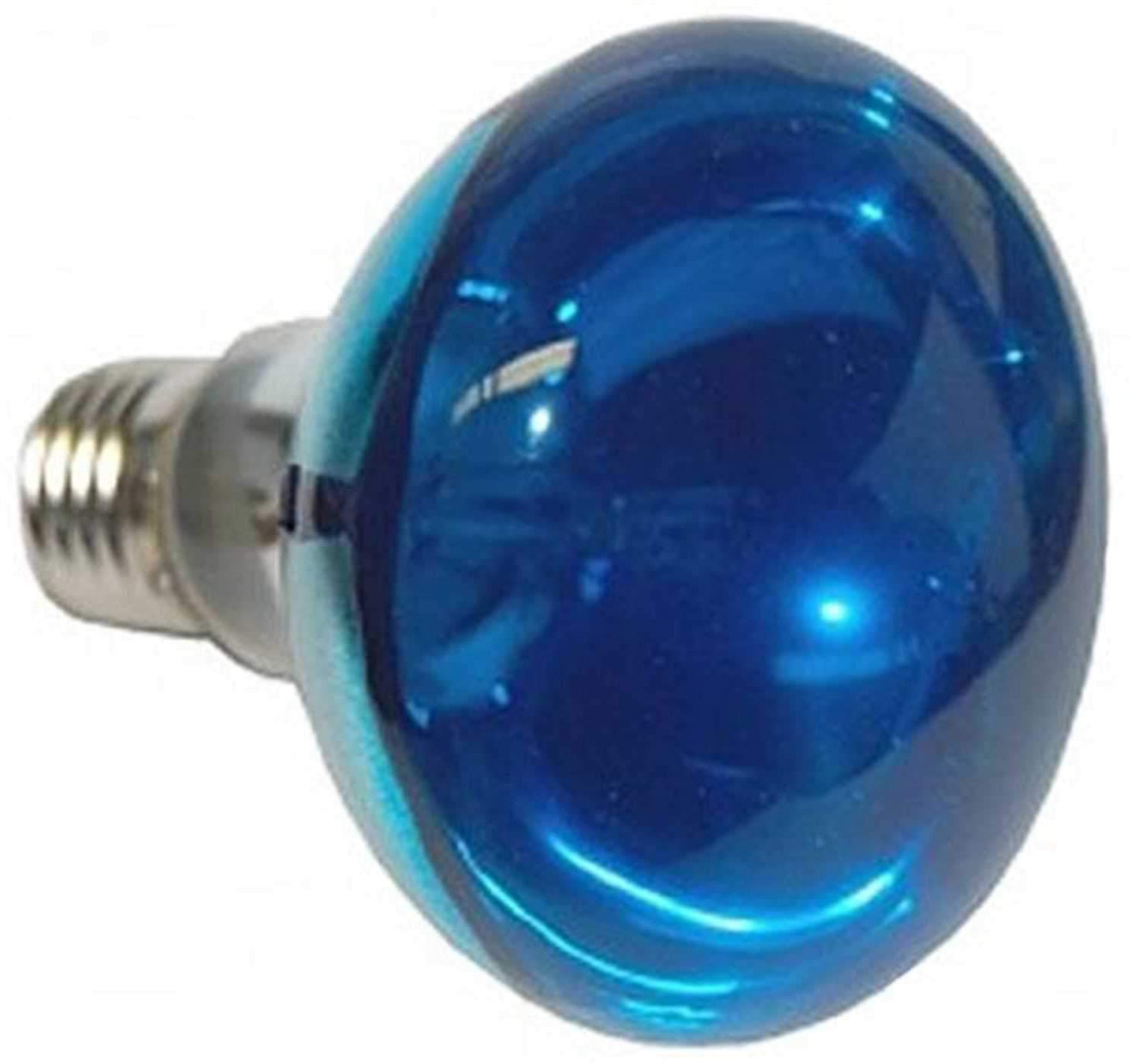 Eliminator EL137B Replacement Bulb-Blue - ProSound and Stage Lighting