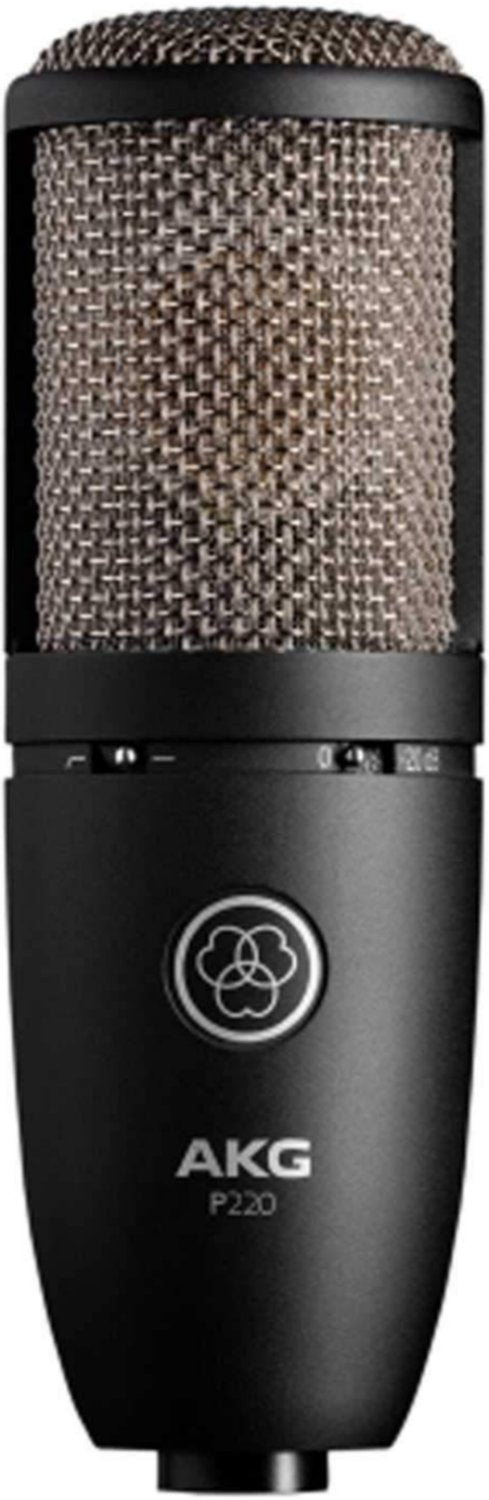 AKG P220 Project Studio Condenser Microphone Large - PSSL ProSound and Stage Lighting