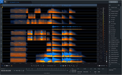 iZotope RX 8 Advanced- Professional Complete Audio Repair - PSSL ProSound and Stage Lighting