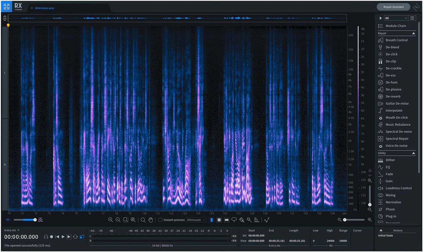 iZotope RX 9 Standard- Professional Complete Audio Repair- Educational Version - PSSL ProSound and Stage Lighting