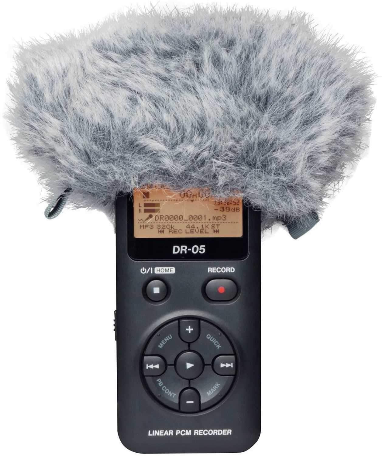 Tascam DR-2D Portable Recorder